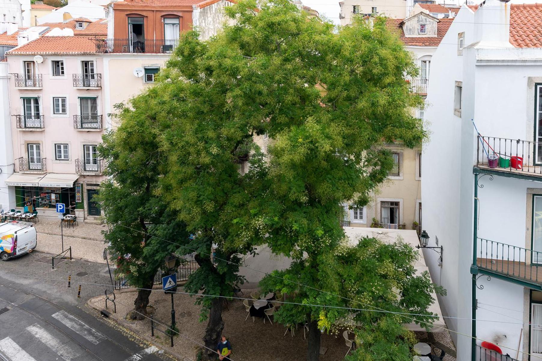 Portas Do Ceu Apartment Lisboa Стая снимка